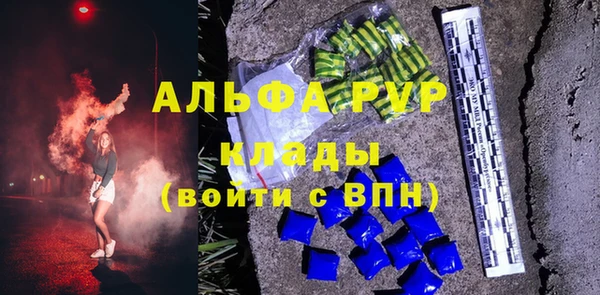 СК Алексин