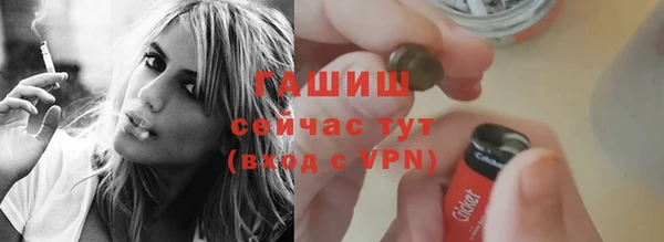 СК Алексин