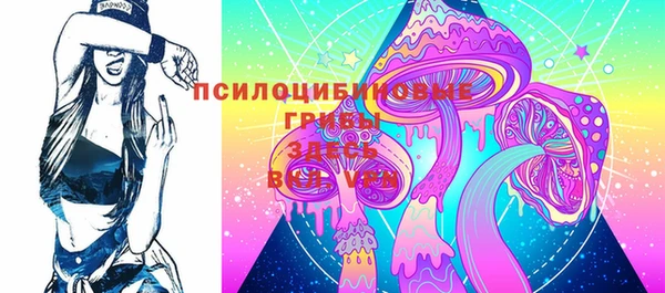 PSILOCYBIN Алексеевка