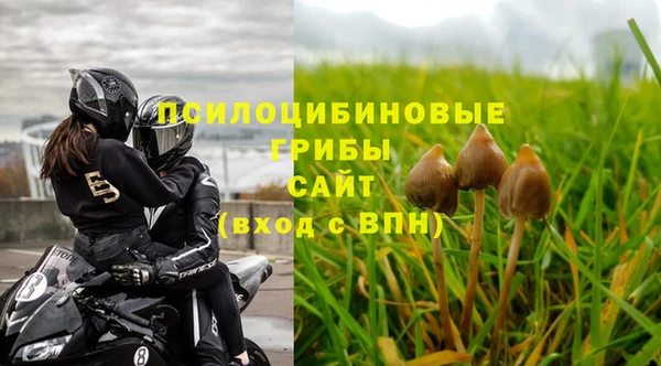 амф Алзамай