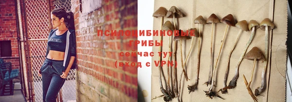 амф Алзамай