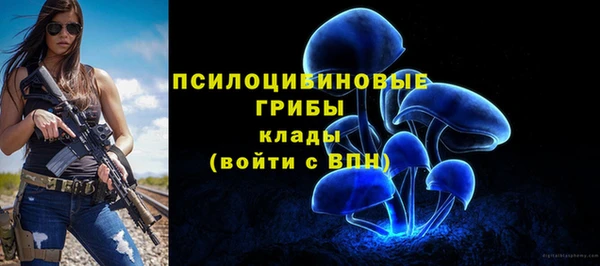 СК Алексин